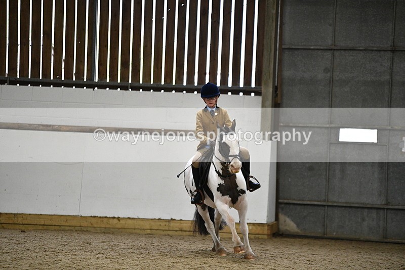 WJ5_7330 - Class 11 Ridden PC - RC Pony