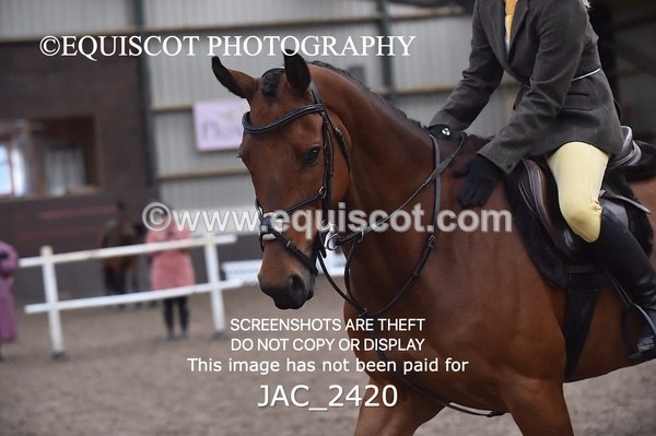 JAC_2420 - CLASS 3 Intermediate Working Hunter