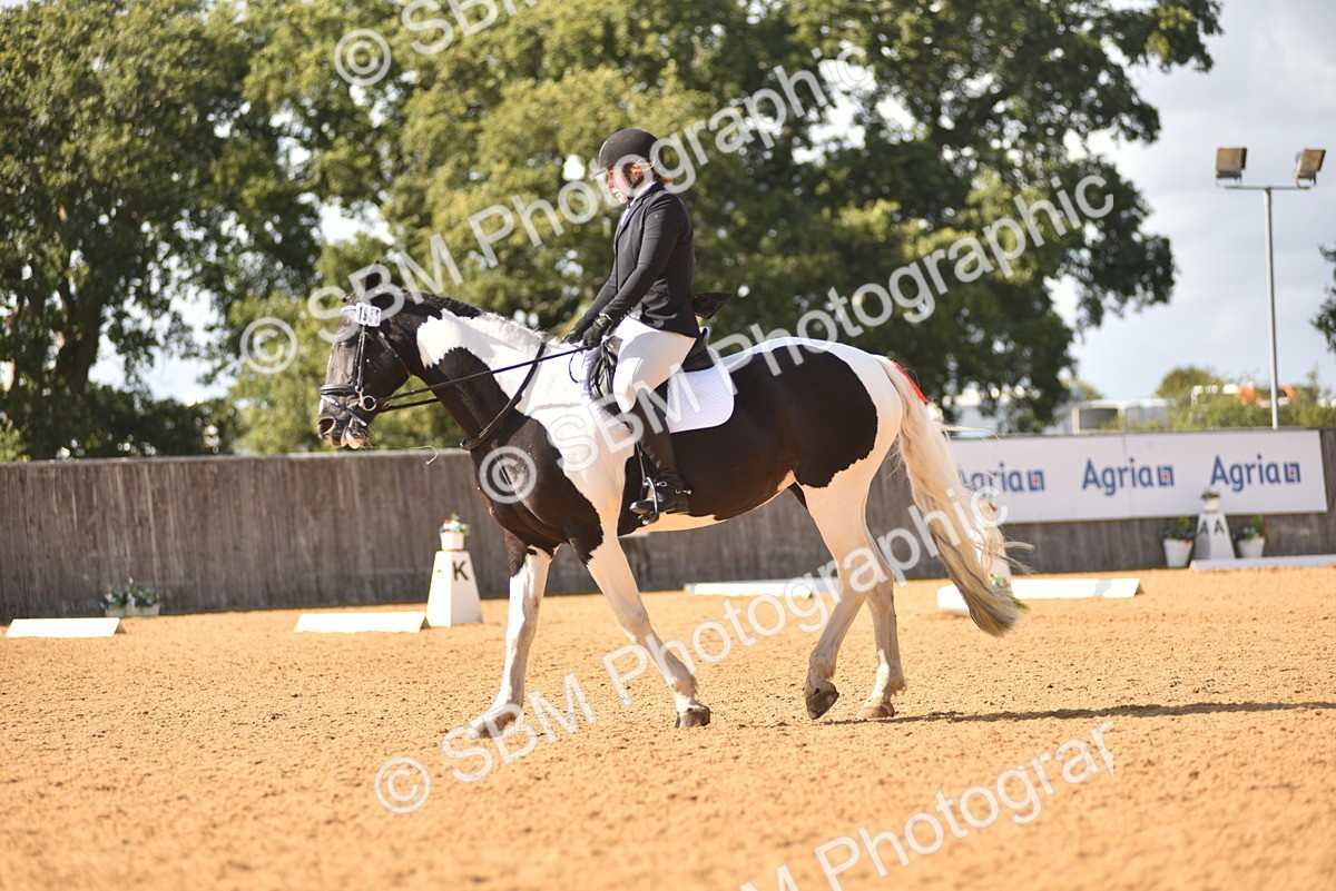 SBM_24312 - D4 - Small Tour Championship Intro 4