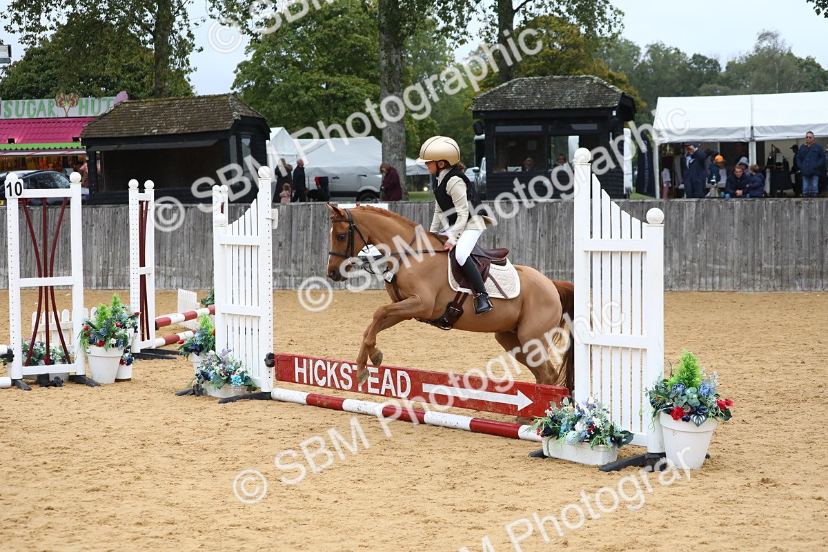 SBM_72028 - J3b - Mini Tour Junior Pony 40cm Championship