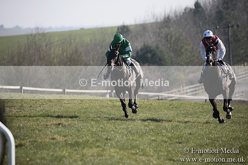 PtP 240218 258 - Vine & Craven Hunt Point-to-Point Barbury racecourse 24/02/18