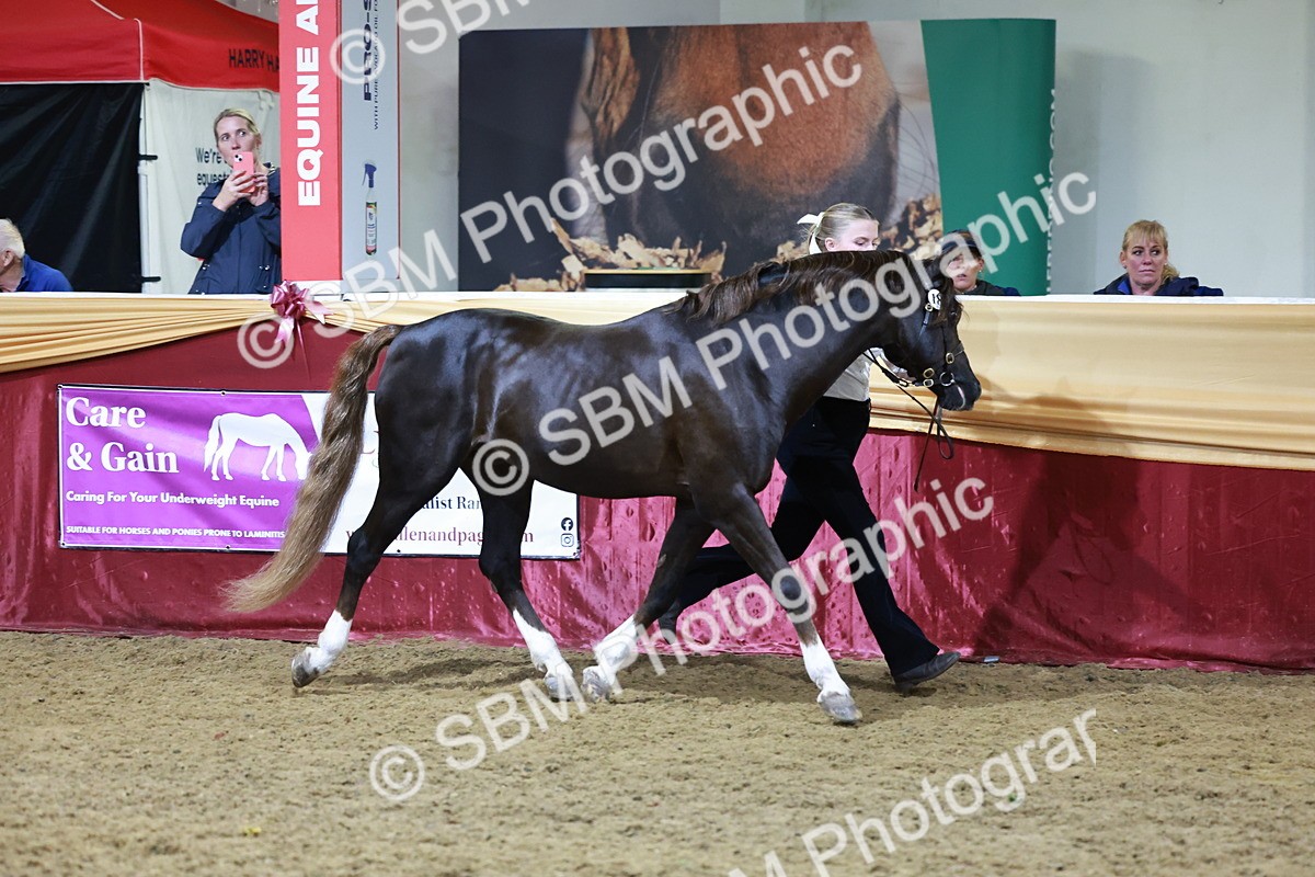 SBM_21054 - Class P - M&M Champs