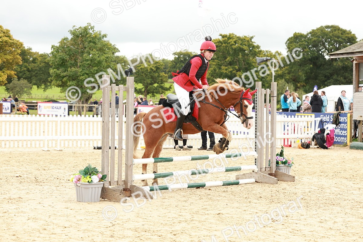 SBM_62072 - J12 - Junior Pony 55cm Championship
