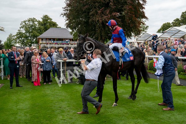 210824-Race 3-Los Angeles-5024 - Race 3 3.00pm Sky Bet Great Voltigeur Stakes