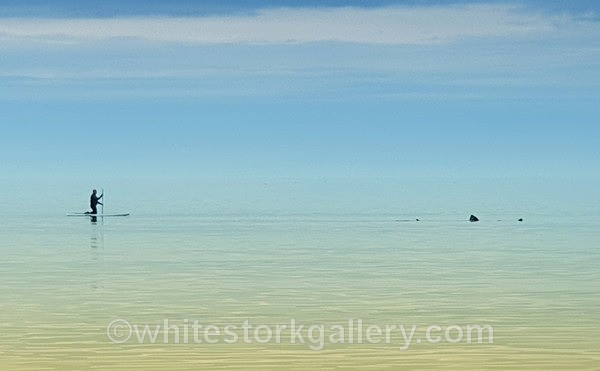 Basking Sharks Visit Nairn - September - Nairn, Scottish Highlands - Zero Miles