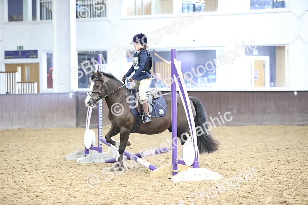 SBM_000235 - Class 2 - The Rug Lady 40cm Area 12 Championship Qualifier