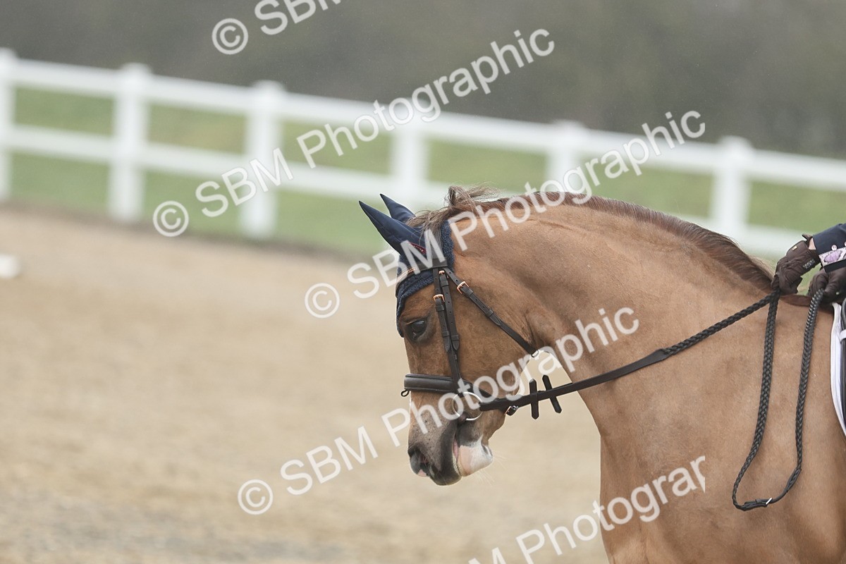 SBM_001008 - Class 13-5 - N2