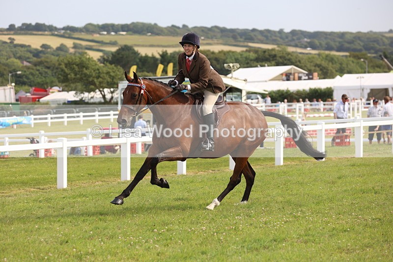 JPP_4257 - Class 25: Working Show Horse