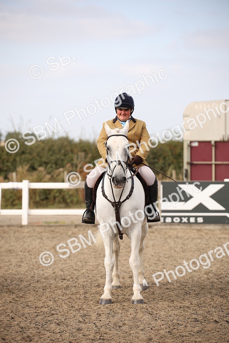 SBM_17319 - Class 410a - Wor5king Veteran 90cm (15-19)