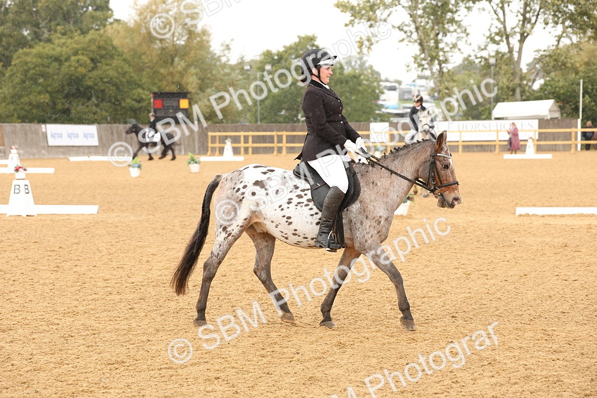 SBM_44122 - D6 - Small Tour Championship Intro 4