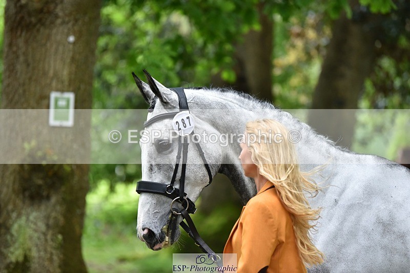 240522-172714-01620 - 287-HEY_DIXIE-Sammy_Harfield