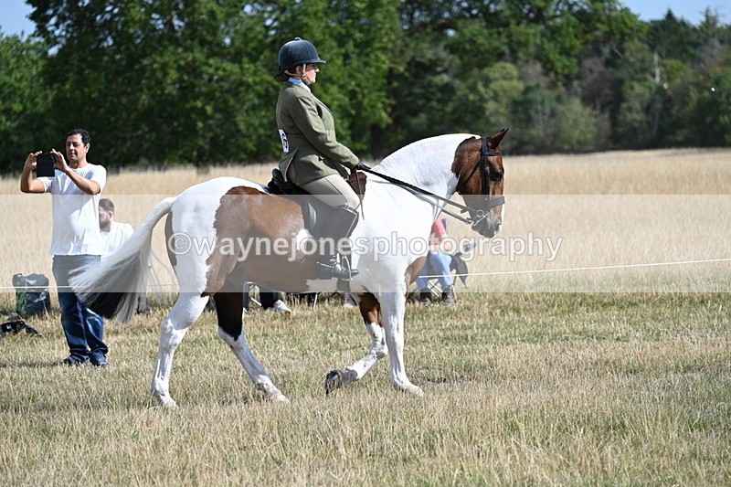 WJ7_2693 - Class 8 Ridden Tack & Turnout