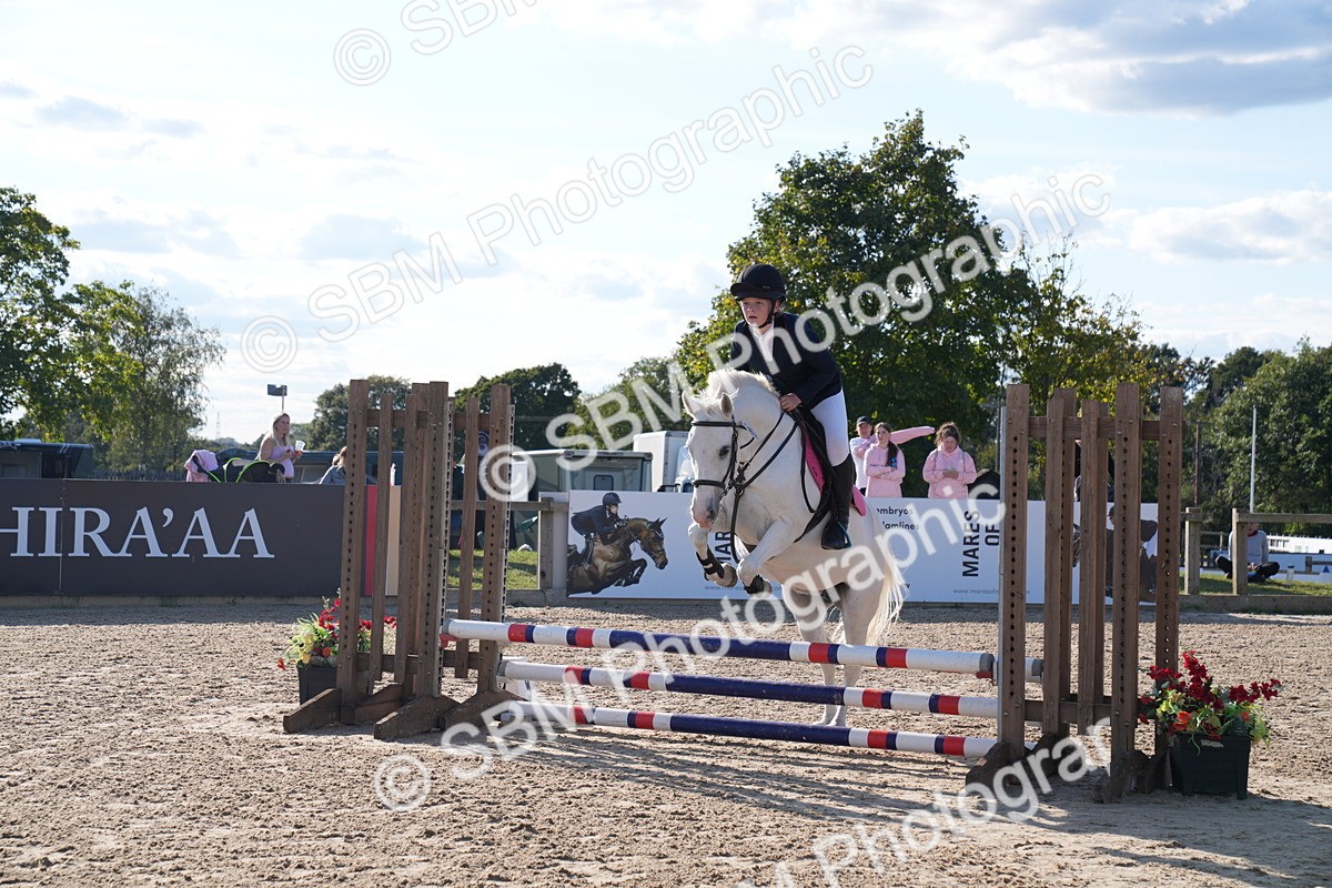 SBM_27923 - J43 - Super Speedy Scurry Open - 60cm