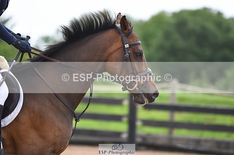 230711A-172538-00247 - 80cm