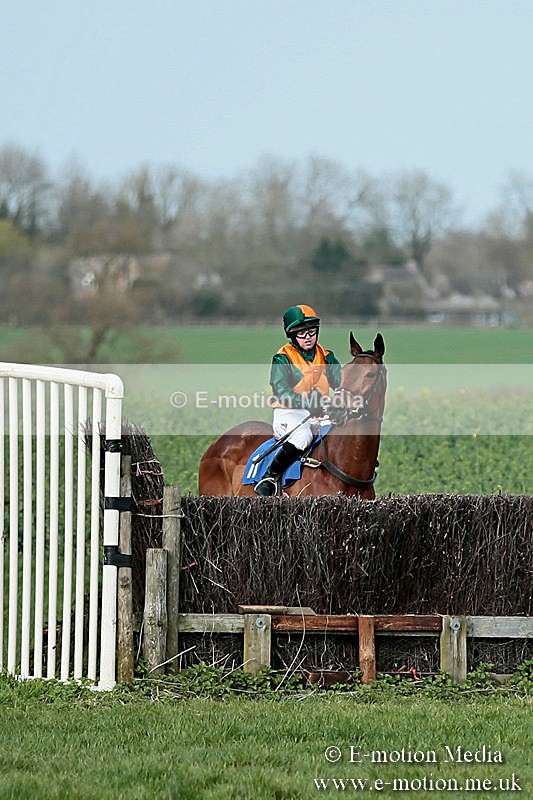 PtP 230319 327 - VWH Hunt Siddington Point-to-Point Racing 23/03/19
