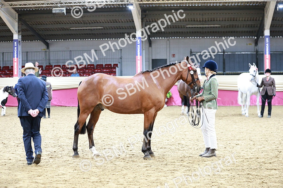 SBM_01189 - Class 3A - Area IH Pre-Vet