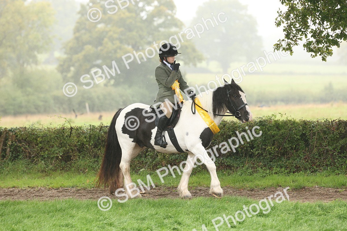 SBM_72875 - S70 - Traditional Cob Ridden