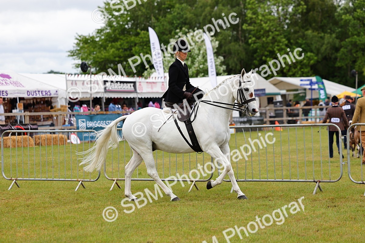 SBM_02725 - Class 9-11 Side Saddle including LIHS Rising Star Ladies Show Horse