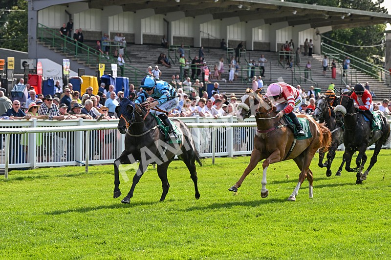 170724-Race 7-Yazaman-0558 - Race 7