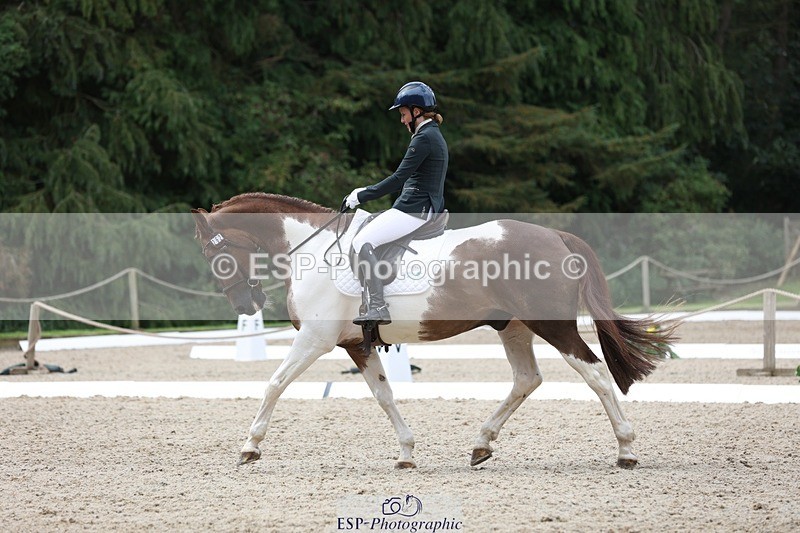 230812-121201-03957 - Cls 5 Novice Bronze 11.15 to 12.50 break