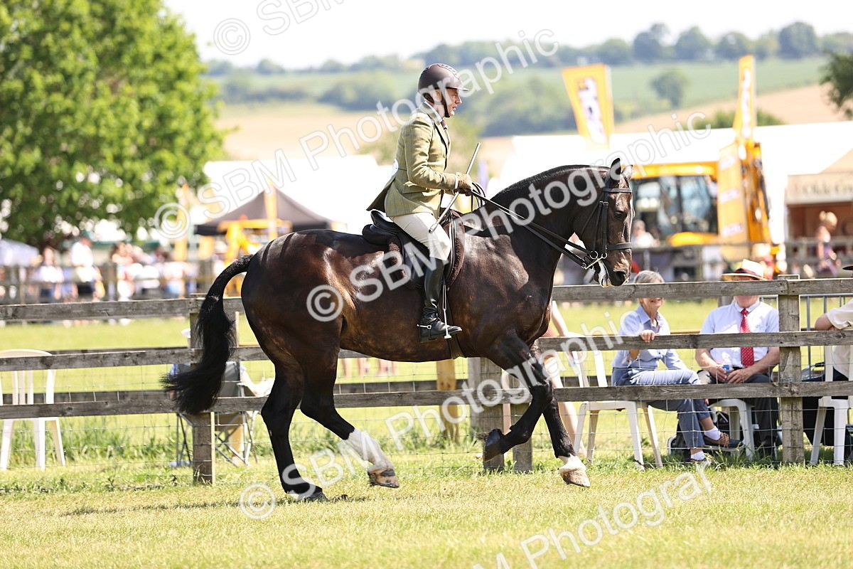 SBM_13707 - Class 77 - LIHS BSHA Rising Star Cobs