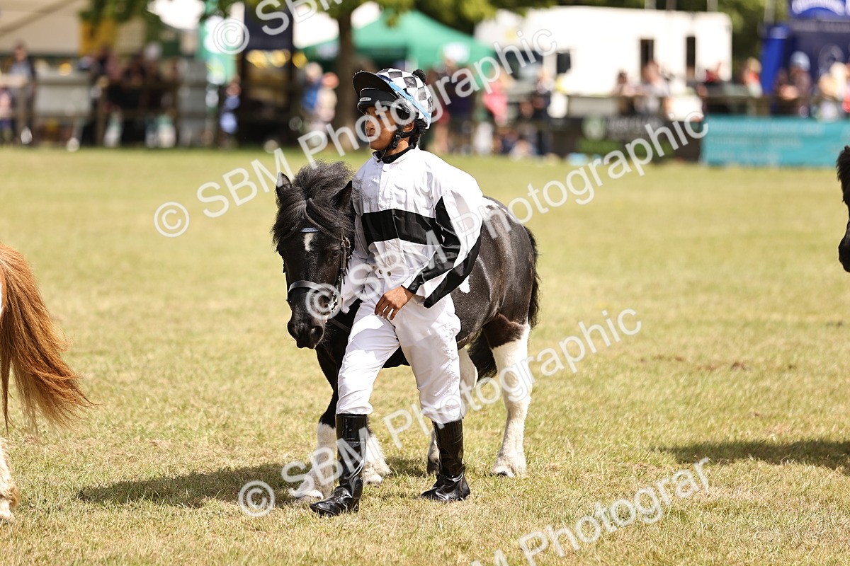 SBM_16387 - Dinky Derby