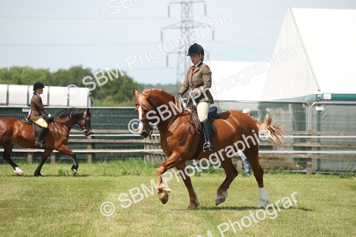 SBM_06941 - Class 26-30 - Mountain and Moorland Ridden