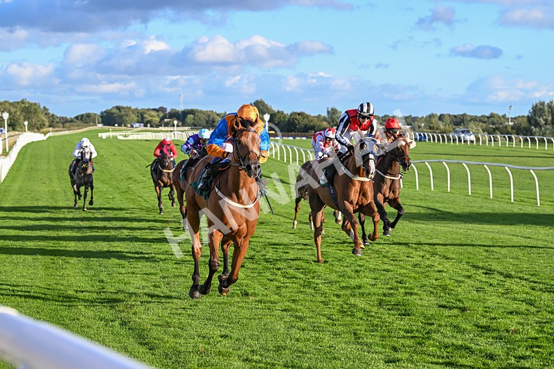 100924-Race 8-Homer Stokes-0879 - Race 8