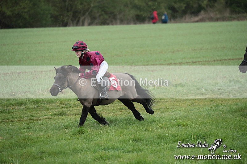 SHETPR 210425 122 - Shetland Ponies Paxford Races 21/04/25