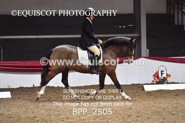 BPP_2505 - 31 - E CLARKSTON