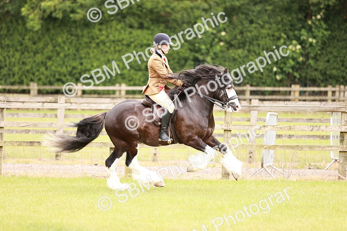 SBM_06192 - Class 39-41 TGCA In Hand and Ridden