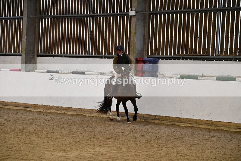 WJ5_7715 - Class 13 Ridden Part Breed