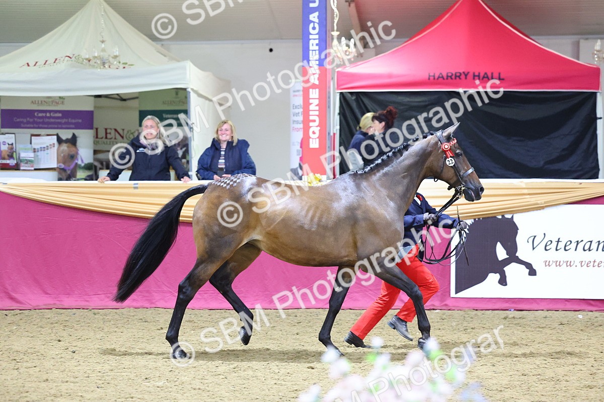SBM_18934 - Class F Grass Roots Champ
