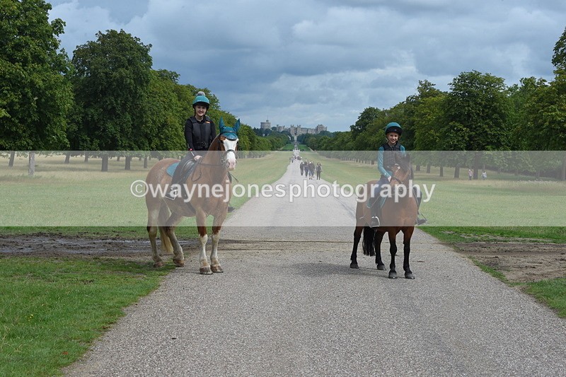 TT3_9161 - Time at Crossing 09:22 to 11:26