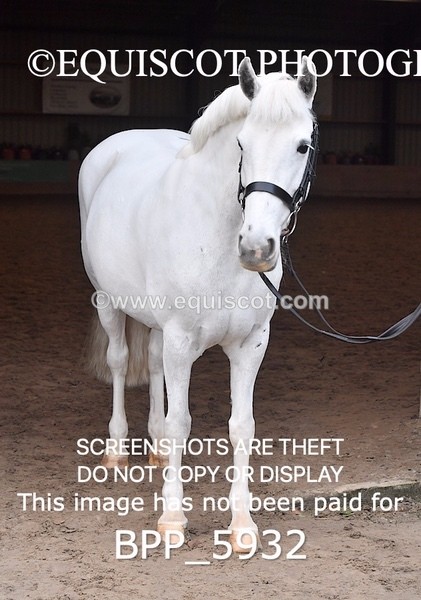 BPP_5932 - Erin Hancock ×2