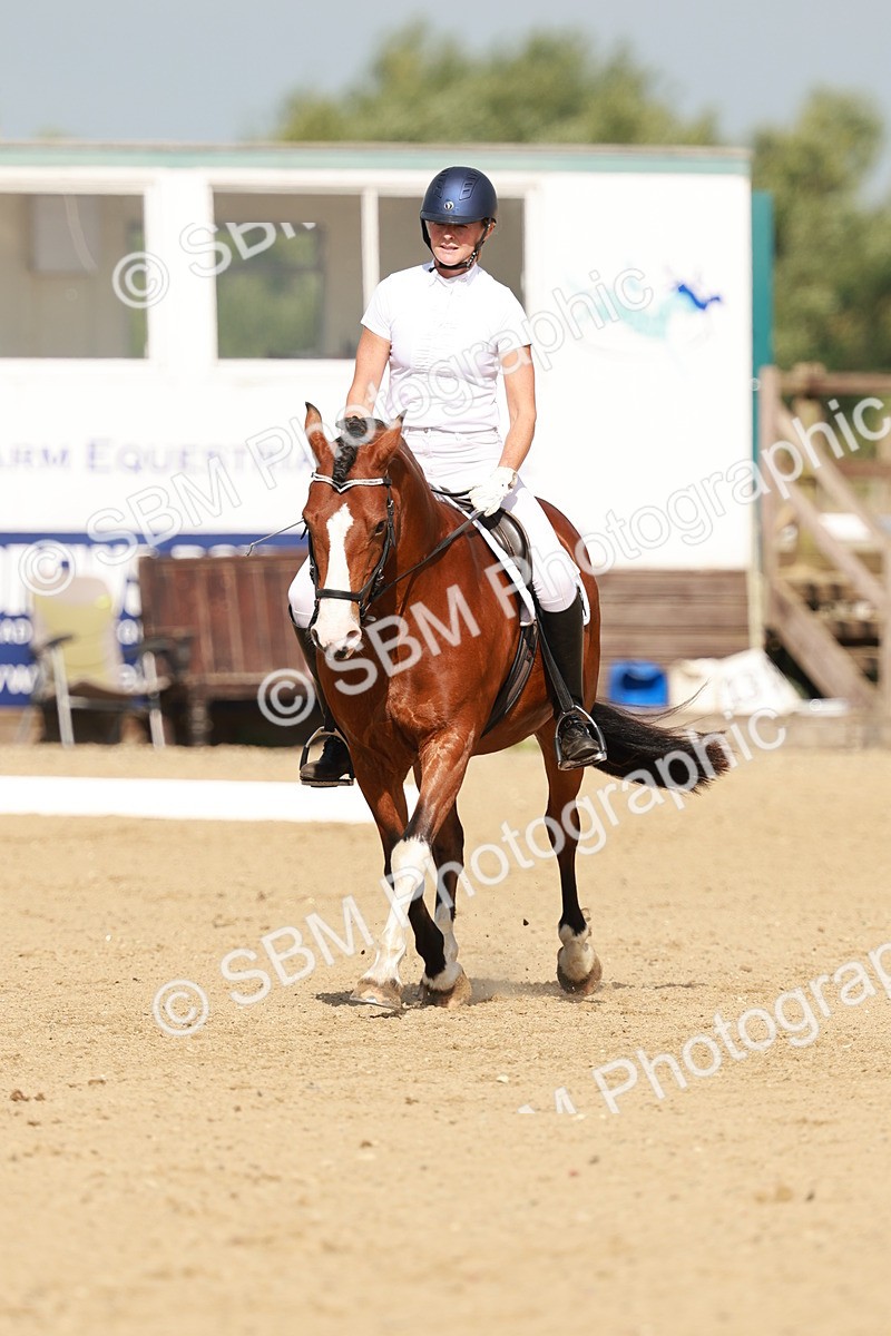 SBM_021318 - Class 13 - N5