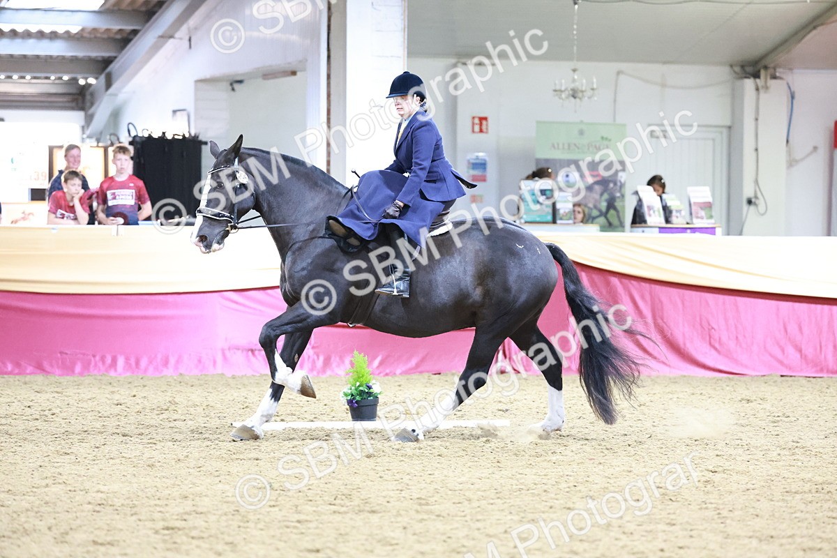 SBM_09930 - Class 61 - Dressage to Music