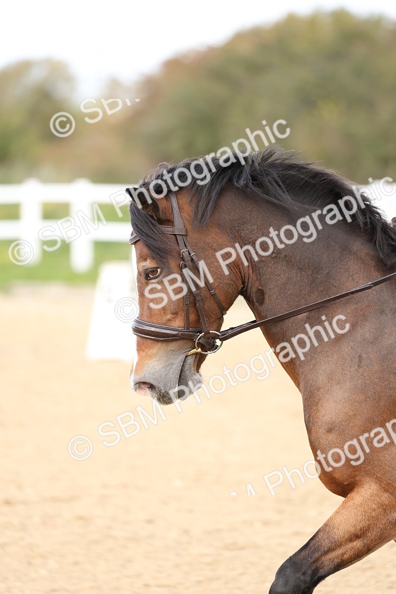 SBM_002028 - Class 5 - Elementary 4