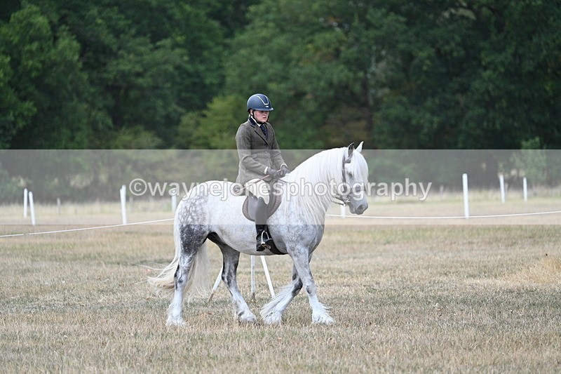WJ7_4726 - Class 12 Ridden Cob