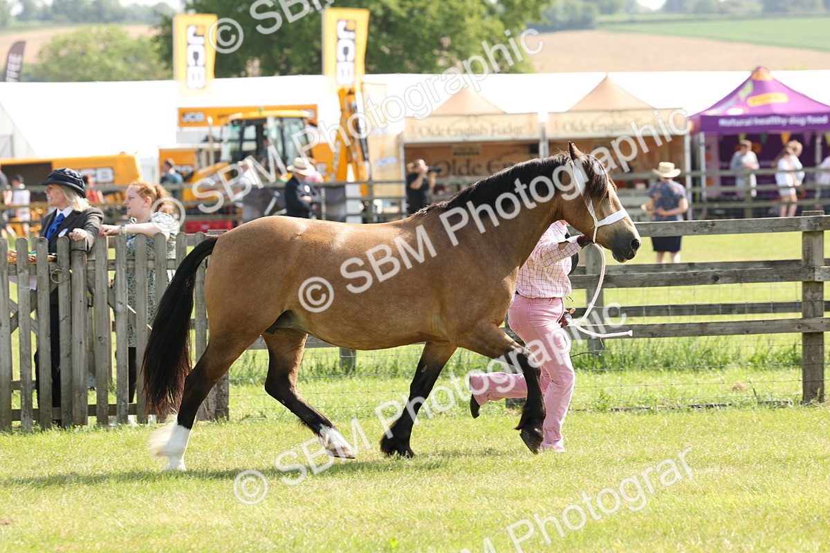SBM_02070