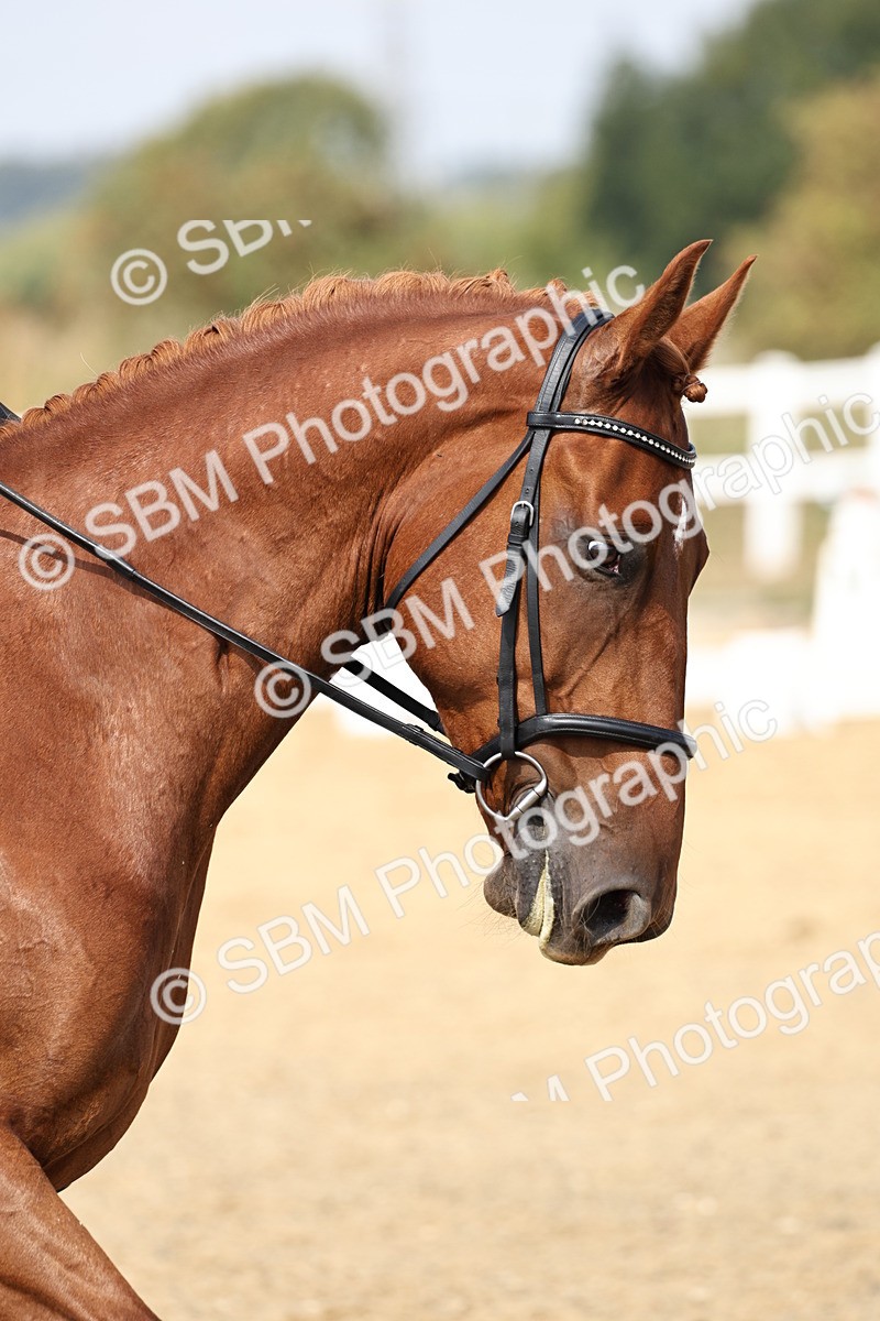 SBM_018387 - Class 16 - Novice 5 - 11.12-12.01