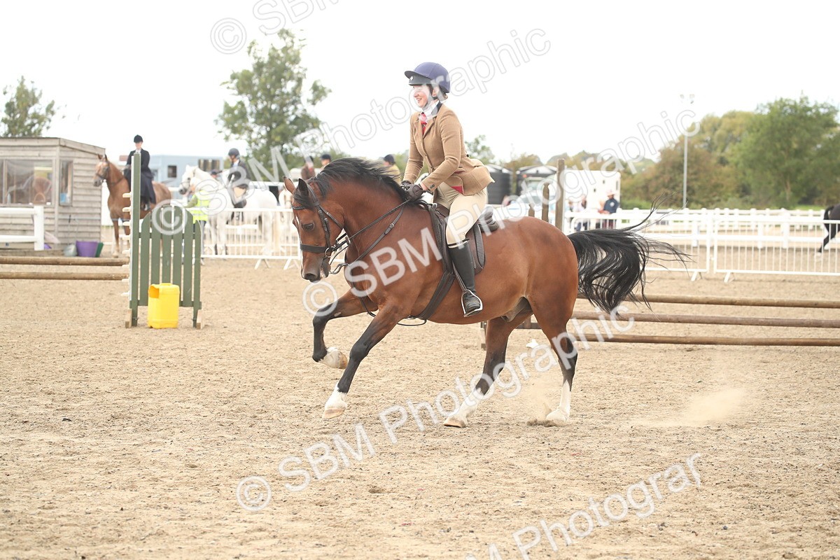 SBM_17645 - Class 508a - Working Veteran 70cm (15-19)