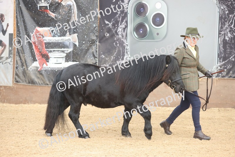 20251109-0032 - Class 3 - 2 and 3 Year Old