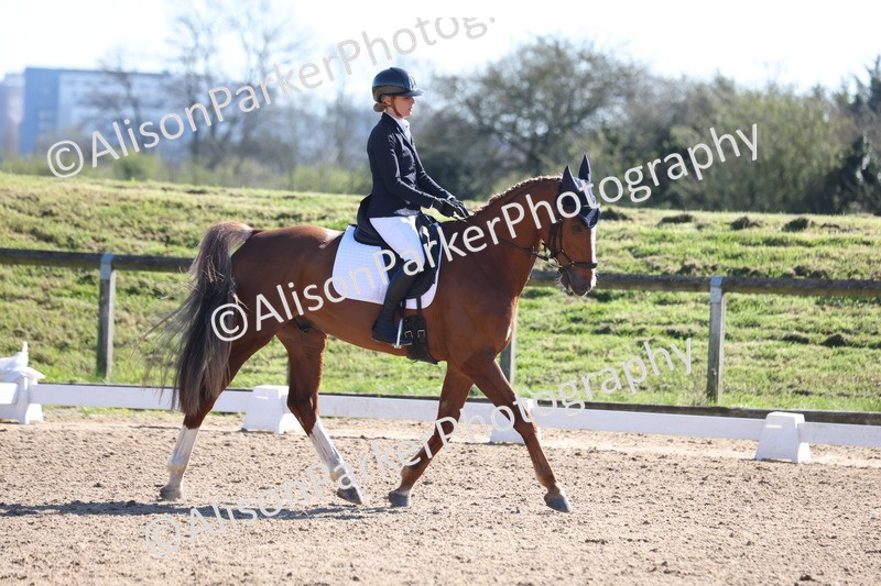 20260318-0529 - Class 5 - Novice 2