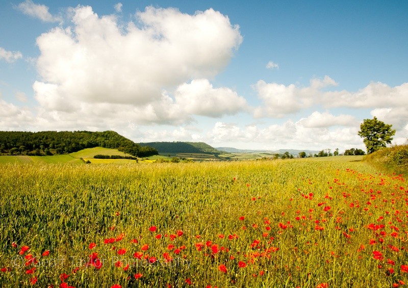 Corve Dale from Upper Dinchope - Wenlock Edge