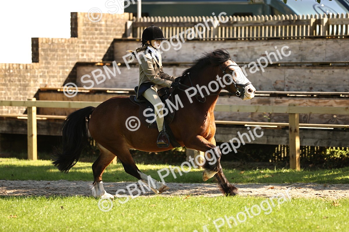 SBM_19163 - S3 - TSR Ridden Pony Showing