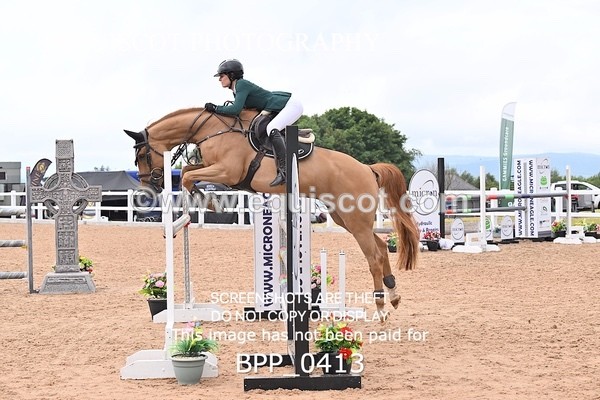 BPP_0413 - CLASS 27 SUN 6 Year Old Non Qualifier