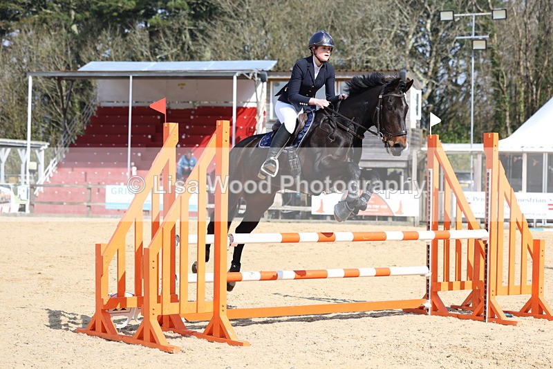 3E7A6484 - Class 4: Senior British Novice/90cm open