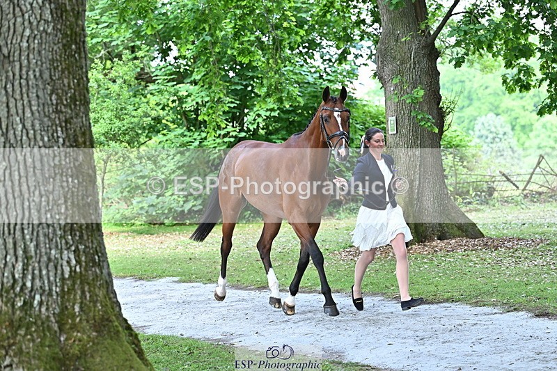 250521A-151028-00310 - B-352-Samantha.Lissington-MALIBU.TS