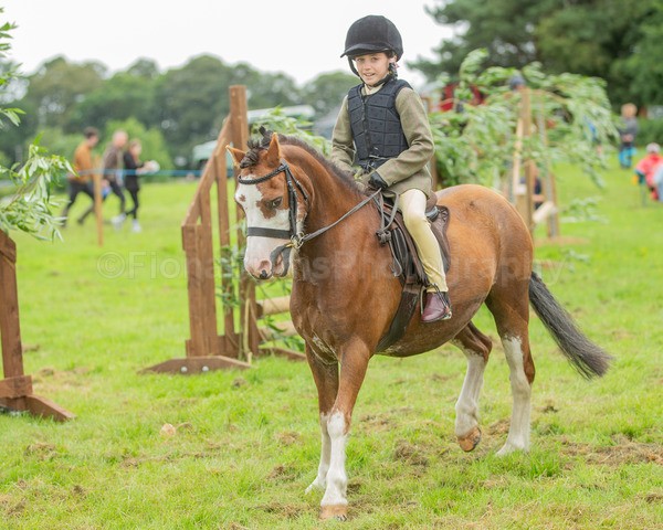 Dunblane show-219 - Dunblane and Doune Show Ring 1